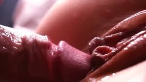 Closeup sex jpg x Closeup sex