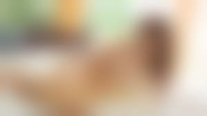 庄司ゆうこ　無修正|無修正 庄司ゆうこ[KIDM-454] | グラビアアイドルの激安DVDショップ