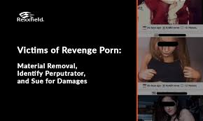 Digital dangers new jerseys revenge porn laws png x Of revenge