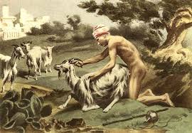 Multitude of dogs enjoying human cunt in this amateur animal sex video zoophilia porn at madnessporn jpg x Human and animal sex
