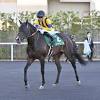 【福島牝馬Sレース後コメント】ステラリア団野大成騎手ら | 競馬 ...