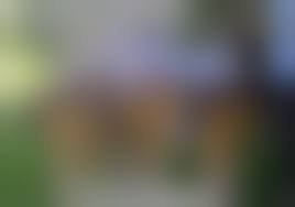 интим фото выпускниц |Выпускницы в школе и за ее пределами фото | Домашнее фото | Мои Титьки -  Голые сиськи из народа 18+