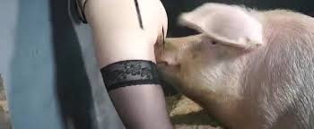 Pig hard fucks married woman jpg x Pig fucks woman