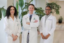 pediatric gynecology|Pediatric and Adolescent Obstetrics and Gynecology | SpringerLink