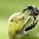 Baby born to woman who locally acquired Zika in US is healthy 