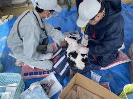 屋外路上露出ＪＫ|深夜に全裸の男たち、摘発された「露活」の実態 - posfie