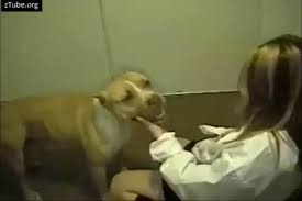 Cupcake dog porn quick hotel sex jpg x Bestiality sex