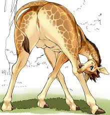 Princess spoiled deer gets fucked hard muscled stallion jpg x Man fucks deer