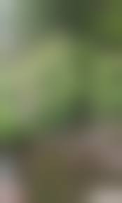 rajce.idnes.pee piss -18|Rajce.net - czech girls peeing - Page 22 - Amateur Voyeur Forum