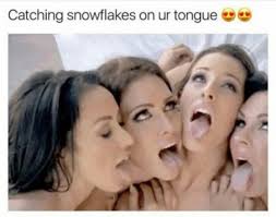 Gay memes jpg x Gay memes