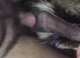 Man fucking goat jpg x Man fuck goat
