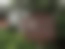 wetblog.org ams sugar II|지인합성 photosugar wetblog org ams sugar II 30096 Hot Sex Picture 20790 | Hot  Sex Picture