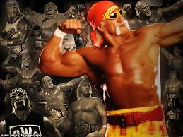 hulk hogan