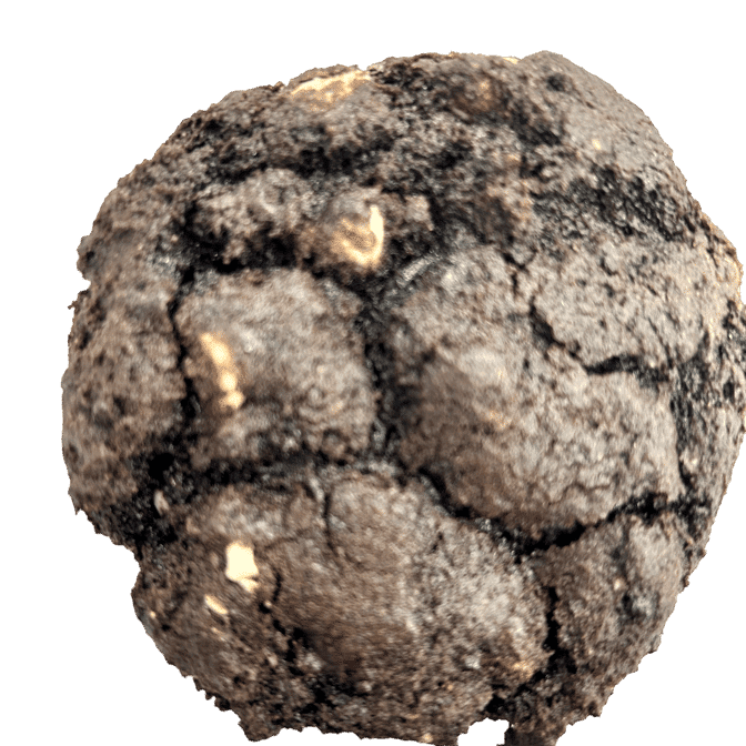 Top Shelf Cookies by null