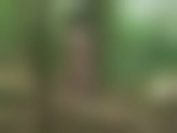 norio sugiura bondage 00015|HOUSE SLAVERY – Page 25 – Exquisite Slave