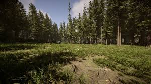 Wild forest man jpg x Wild forest