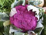 chou-fleur violet