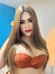 shemal TMU|Shemal Transgender Toronto | TikTok