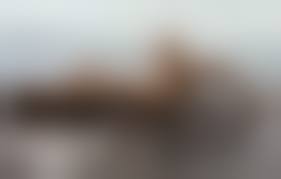 後藤真希流出全裸画像|動ナビブログネオ » 後藤真希（ゴマキ）、乳首ヌードおっぱいやマン毛がエロい！写真集「flos」 お胸出しまくりで爆売れｗｗｗγ