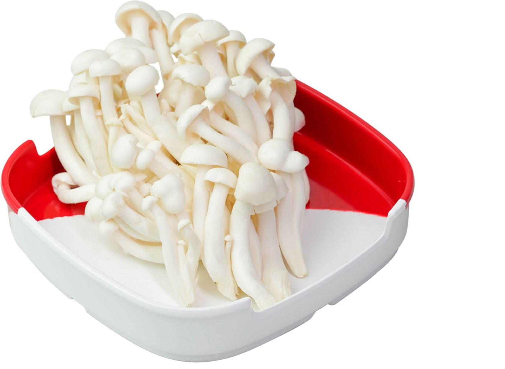 ម៉ាស្ទ័រស៊ុគីស៊ុប សាខាស៊ូភើស្ទ័រ - MasterSukiSoup (Super Store) by null