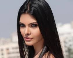 Sherlyn chopra poonam pandey jpg x Sherlyn chopra poonam pandey