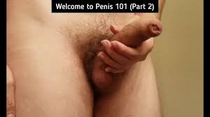 Search uncircumcised penis jpg x Uncircumcised penis