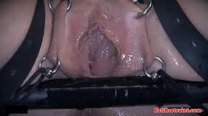 Zipper pussy bdsm jpg x Bdsm pussy
