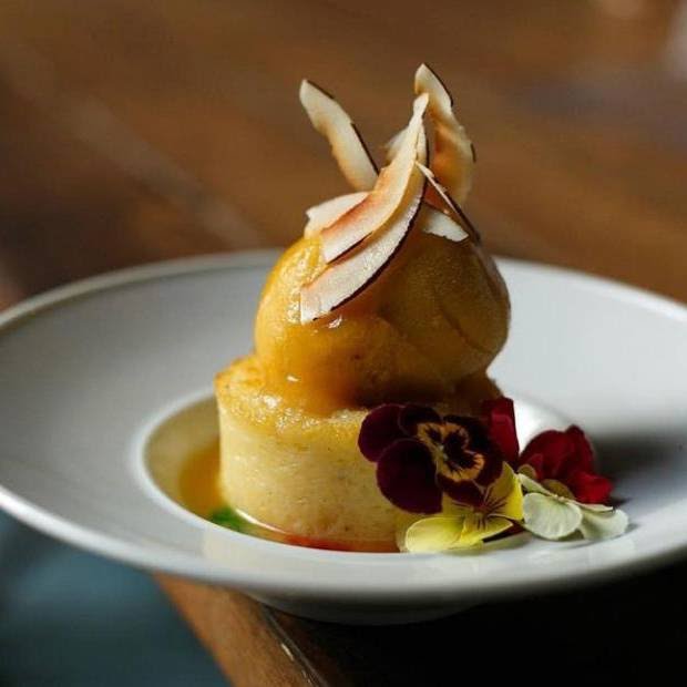 JACARÉ DO BRASIL by null