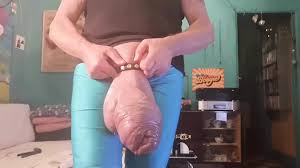 Huge penis pump balls and dick at the same time pornhub gay jpg x Cock and ball pumping