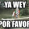 Memes De Chile Vs Mexico