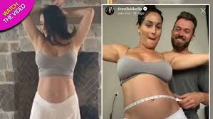 Nikki bella sexy jpg x Nikki bella sexy