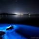Bioluminescence lights up Tasmanian shoreline, creates beautiful photos - WABC