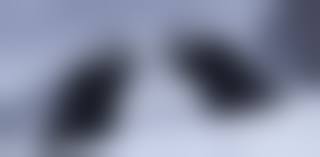 flat_chest hentai 3d|Tsuji Yashiki hentai videos, GIFs, and images | R34.app