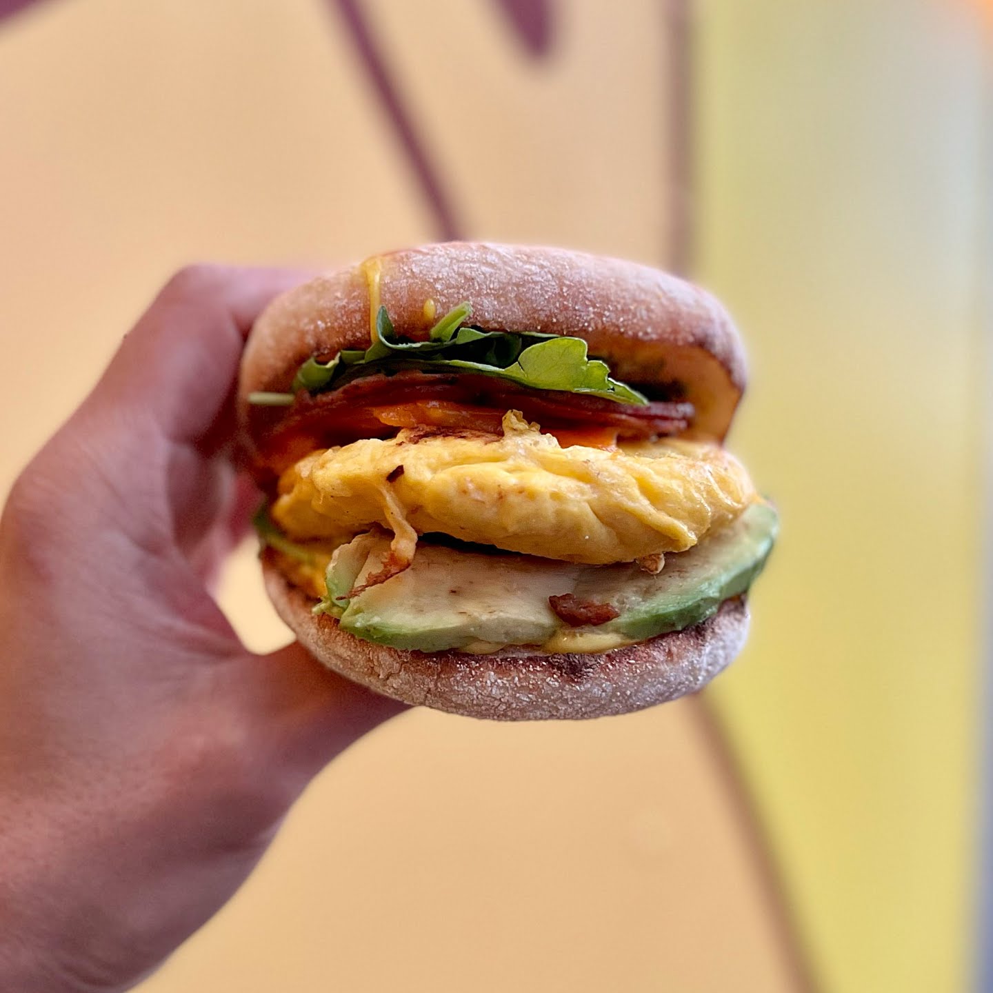 Chubby Bunny by null