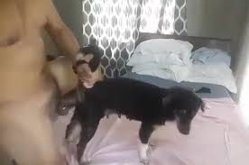 Guy fucks dog pussy jpg x Guy fucks dog pussy