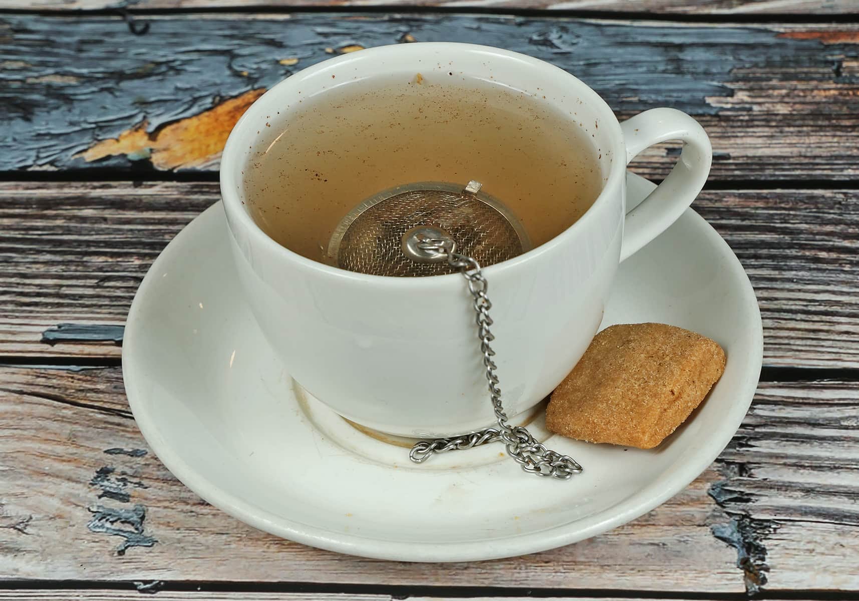 The Bagel Shop by null