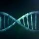 A major difference between DNA and RNA could explain why one is the go-to blueprint for life 