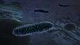Mitokondri ile ilgili video