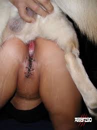 Animation human male sex bitch feral dzxhtasmejxfpte jpg x Human and animal sex