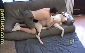 Man fucks female dog after gay sex free bestiality and animal porn jpg x Fucks animals