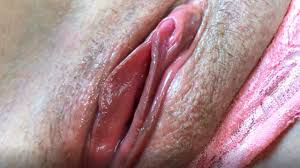 Close up fuck porn pics jpg x Close up fuck