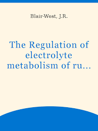 LS smallest pussy model ru little nudist  pee|Words | PDF | Nature