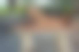 Gia Ramey pussy|Wallpaper gia ramey gay, playboy, nude, hot, sexy, model, playmate, shaved  pussy, pussy, boobs, tits desktop wallpaper - XXX walls - ID: 181216 -  ftopx.com