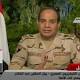 Egypt's Sisi announces run for presidency