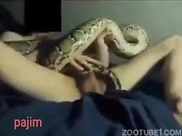 Snakebytestv snake porn youtube jpg x Snake in