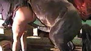 Skjl dog and horse fucking with girl photo porn images jpg x Girl fucked by horse