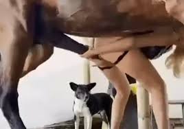 Horse fucks at farm with wife jpg x Wife fucking horse