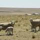 Global Water Shortage Risk Is Worse Than Scientists Thought 