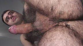 Urso gay peludo jpg x Urso gay peludo