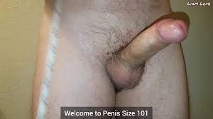 Human penis size png x Normal size dick